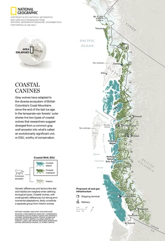 Map showing the range of "coastal wolves" who live in British Columbia. For a 2015 issue of National Geographic.